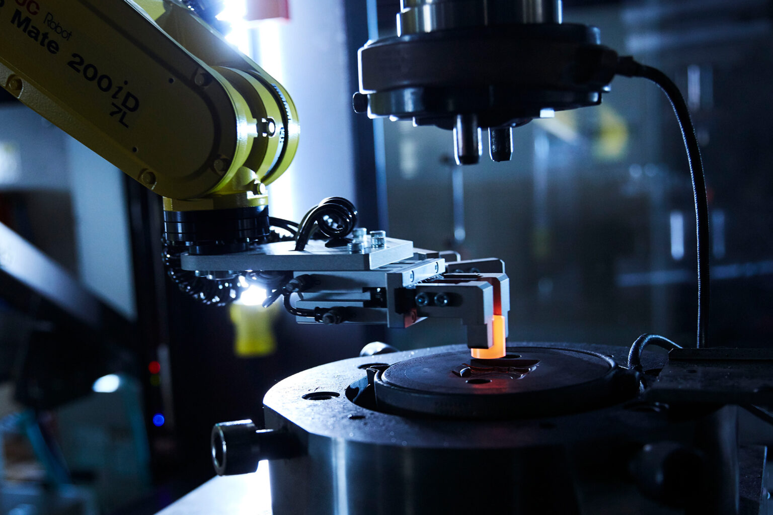 برند سیتیزن